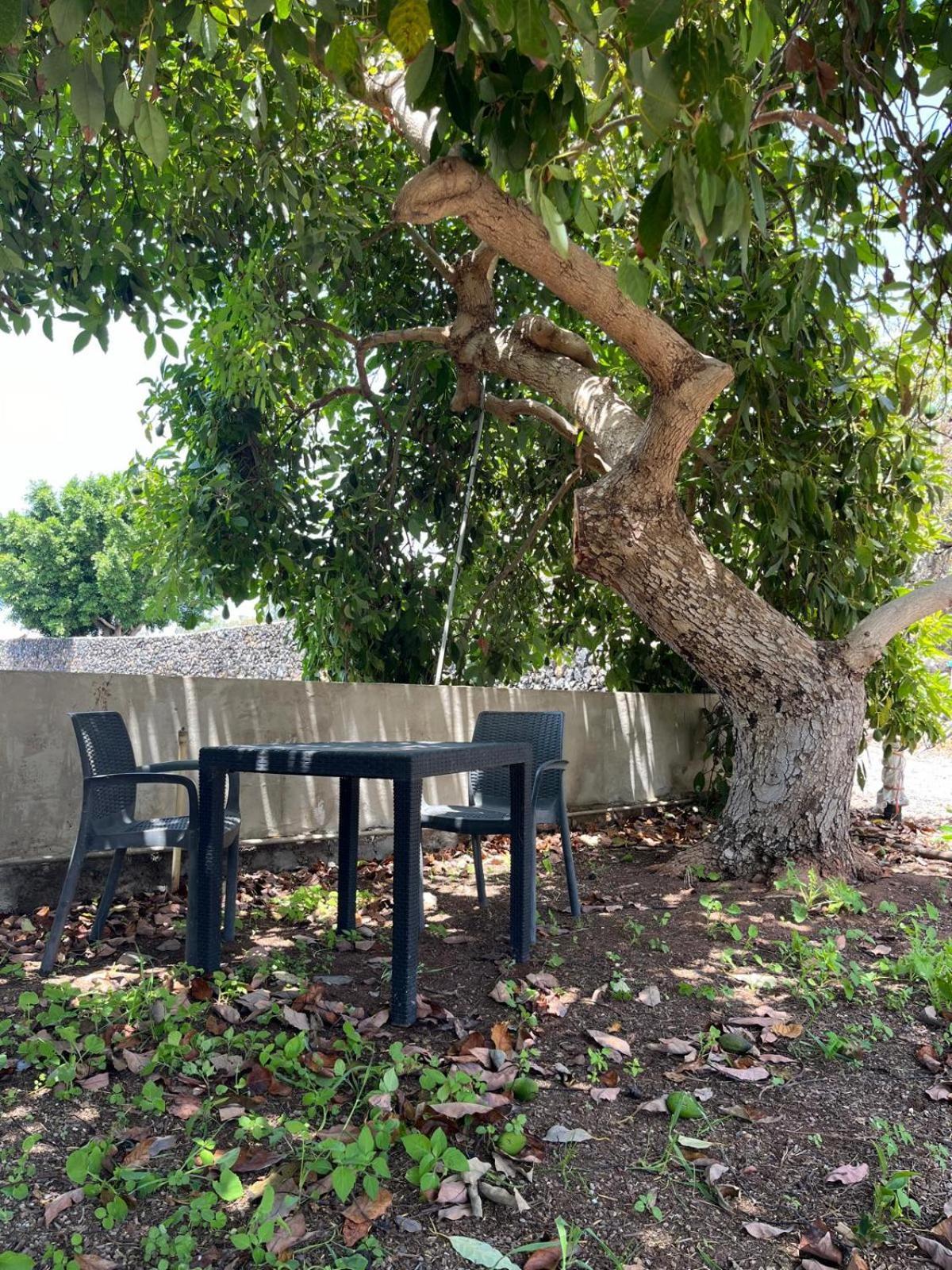 Fincaecoamaro Puerto de Santiago  Luaran gambar
